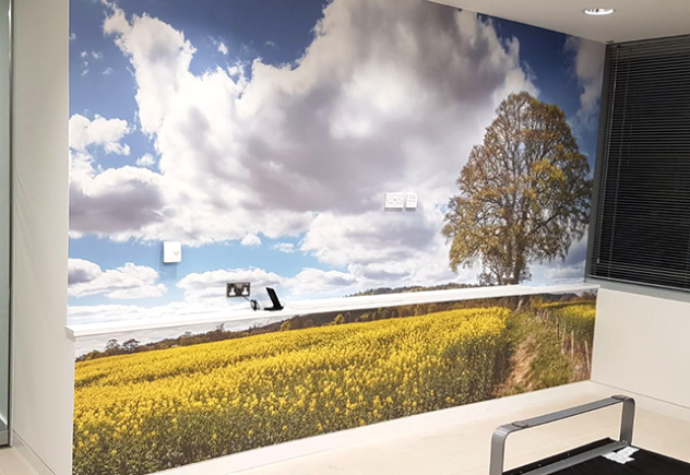 What is an Image Resolution? Know Everything About it