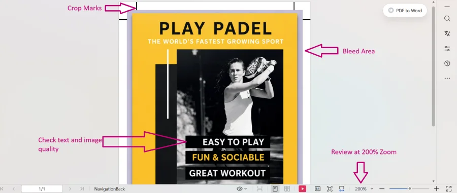 Canva step 8